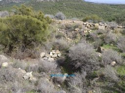 Yacimiento de la Almoloya 2007